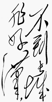 追梦阳光