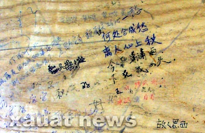 追梦阳光