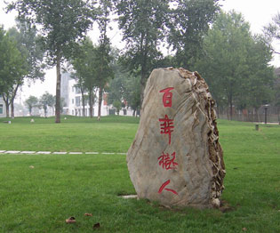 追梦阳光