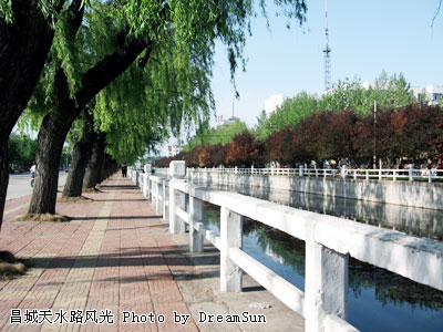 追梦阳光