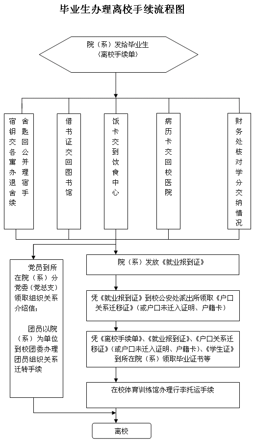 追梦阳光