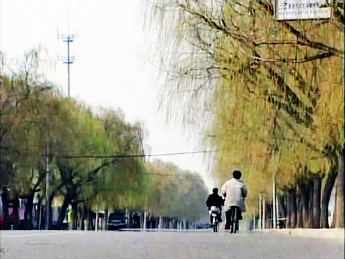 追梦阳光