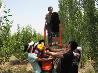 追梦阳光
