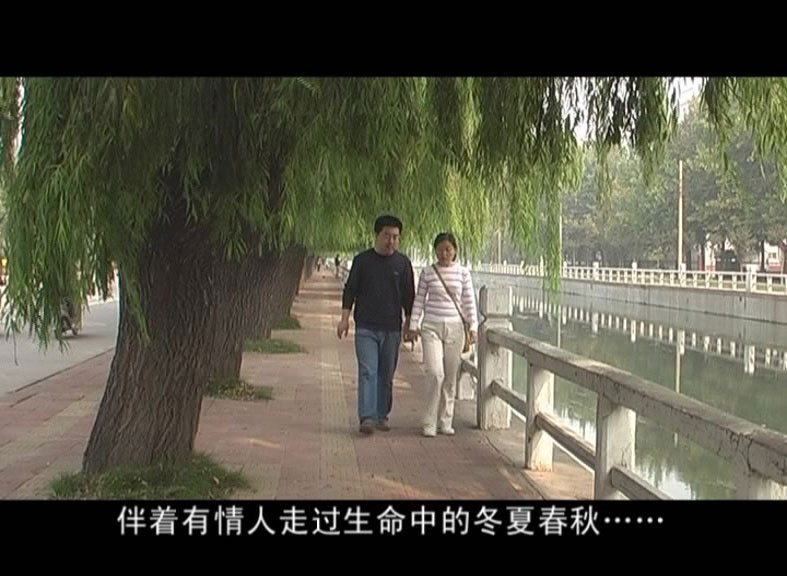 追梦阳光