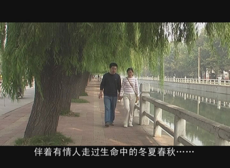 追梦阳光