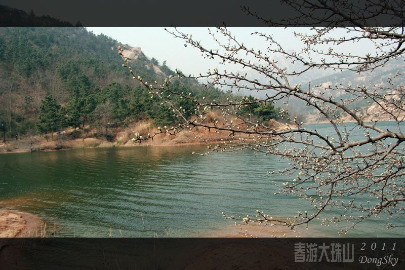 追梦阳光