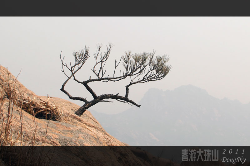 追梦阳光