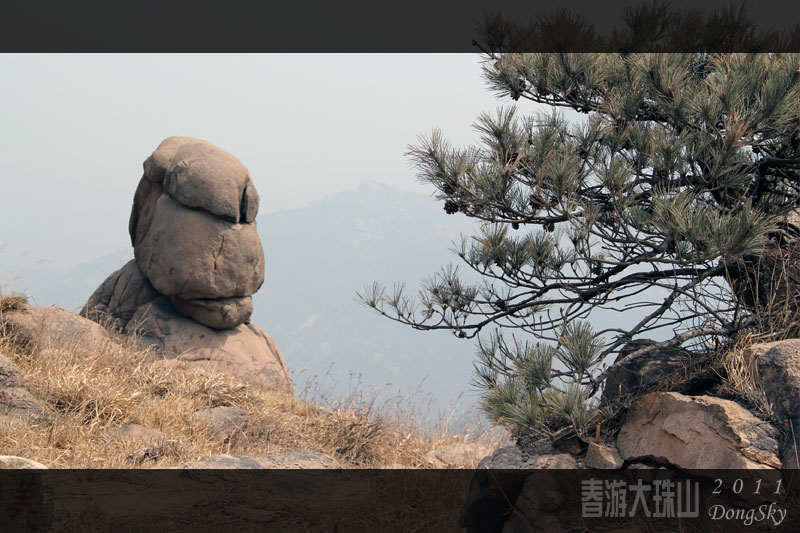 追梦阳光