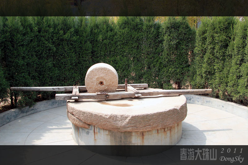 追梦阳光