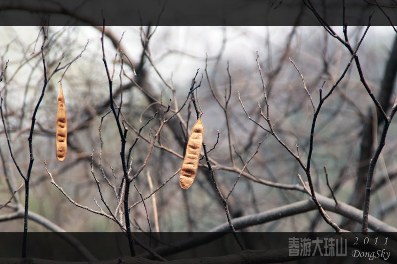 追梦阳光