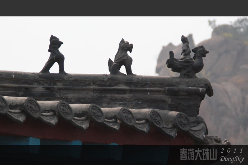 追梦阳光