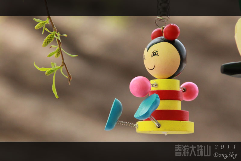 追梦阳光
